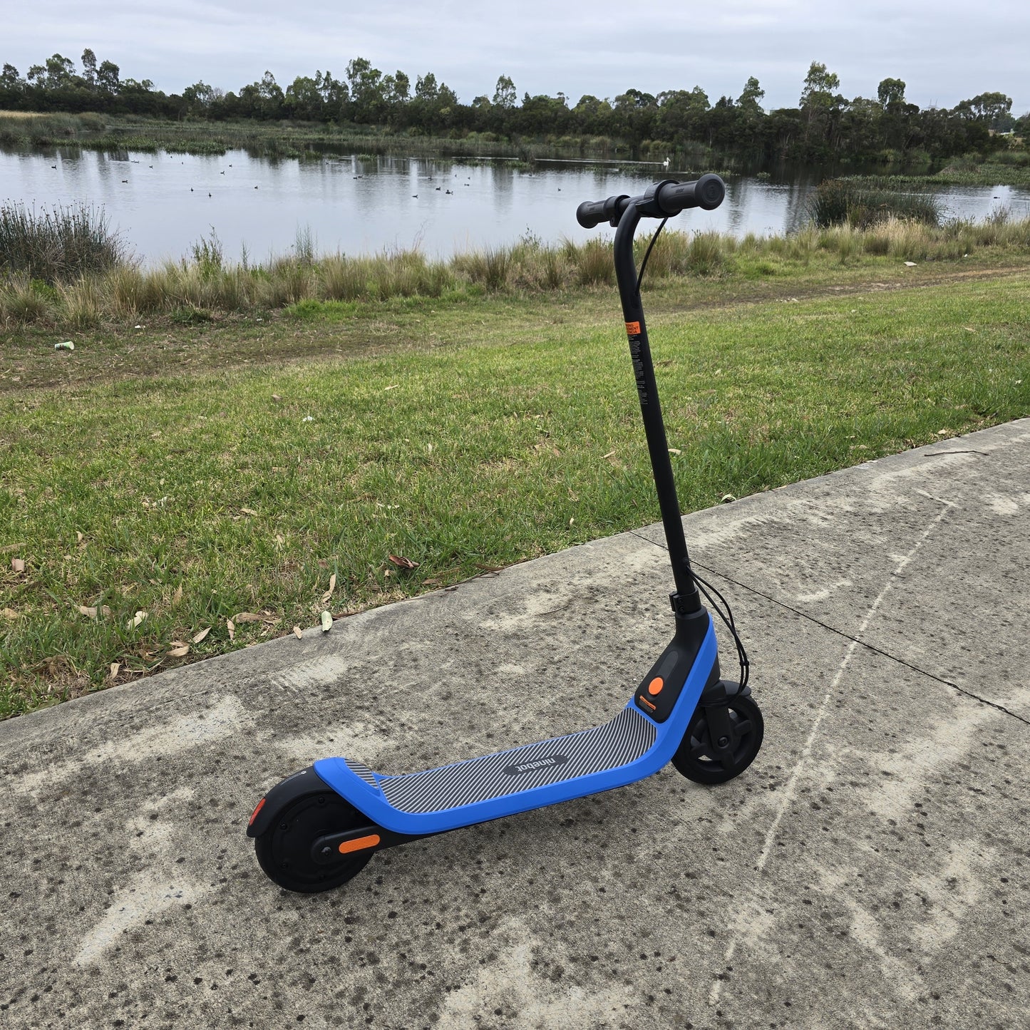 Segway-Ninebot Electric Kick Scooter C2 Lite